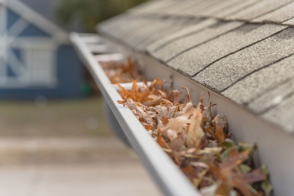 Leaf Barrier Installation in Jefferson